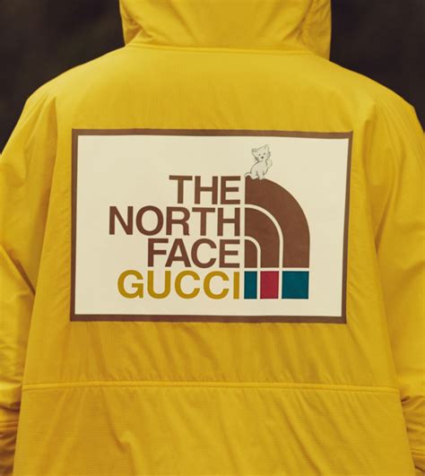 orth face x gucci|north face x gucci collection.